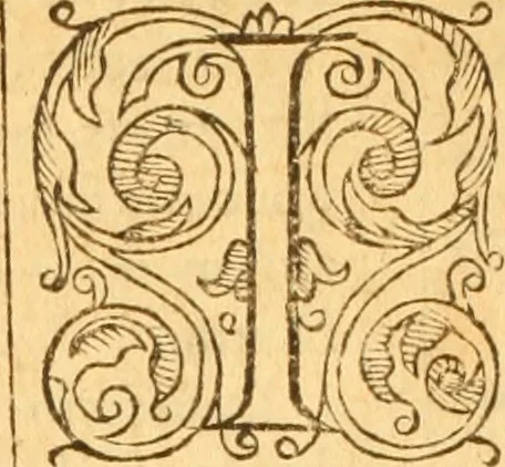 An illustration from Testamentvm Novvm : sive nouum foedus Iesu Christi, D.N. Cuius Graeco contextui respondent interpretationes duae: vna, vetus altera, Theodori Bezae, nunc quartò diligenter ab eo recognita. Eiusdem annotationes, quas itidem hac quarta edit. accuratè recognouit, & accessione non parua locupletauit: Vt docebunt asterisci margini appositi, necnon eius ad lectorem epistolium. Haec quarta editio, propter accessiones non paucas, duos indices nouos habet: quorum prior priori parti, posterior posteriori subiunctus est. Seorsvm edetvr recensio earundem in diuersis Noui Testamenti locis vocum (vulgò concordantiae Novi Testamenti) cui etiam operam multum lectori profuturam idem Theodorus Beza & quidam alij impenderunt, 1588, leaf 1065