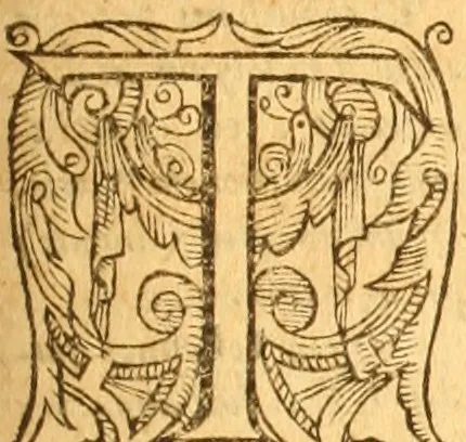 An illustration from Testamentvm Novvm : sive nouum foedus Iesu Christi, D.N. Cuius Graeco contextui respondent interpretationes duae: vna, vetus altera, Theodori Bezae, nunc quartò diligenter ab eo recognita. Eiusdem annotationes, quas itidem hac quarta edit. accuratè recognouit, & accessione non parua locupletauit: Vt docebunt asterisci margini appositi, necnon eius ad lectorem epistolium. Haec quarta editio, propter accessiones non paucas, duos indices nouos habet: quorum prior priori parti, posterior posteriori subiunctus est. Seorsvm edetvr recensio earundem in diuersis Noui Testamenti locis vocum (vulgò concordantiae Novi Testamenti) cui etiam operam multum lectori profuturam idem Theodorus Beza & quidam alij impenderunt, 1588, leaf 446