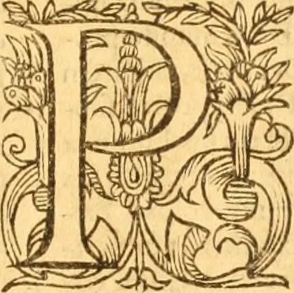 An illustration from Testamentvm Novvm : sive nouum foedus Iesu Christi, D.N. Cuius Graeco contextui respondent interpretationes duae: vna, vetus altera, Theodori Bezae, nunc quartò diligenter ab eo recognita. Eiusdem annotationes, quas itidem hac quarta edit. accuratè recognouit, & accessione non parua locupletauit: Vt docebunt asterisci margini appositi, necnon eius ad lectorem epistolium. Haec quarta editio, propter accessiones non paucas, duos indices nouos habet: quorum prior priori parti, posterior posteriori subiunctus est. Seorsvm edetvr recensio earundem in diuersis Noui Testamenti locis vocum (vulgò concordantiae Novi Testamenti) cui etiam operam multum lectori profuturam idem Theodorus Beza & quidam alij impenderunt, 1588, leaf 592