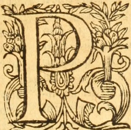 An illustration from Testamentvm Novvm : sive nouum foedus Iesu Christi, D.N. Cuius Graeco contextui respondent interpretationes duae: vna, vetus altera, Theodori Bezae, nunc quartò diligenter ab eo recognita. Eiusdem annotationes, quas itidem hac quarta edit. accuratè recognouit, & accessione non parua locupletauit: Vt docebunt asterisci margini appositi, necnon eius ad lectorem epistolium. Haec quarta editio, propter accessiones non paucas, duos indices nouos habet: quorum prior priori parti, posterior posteriori subiunctus est. Seorsvm edetvr recensio earundem in diuersis Noui Testamenti locis vocum (vulgò concordantiae Novi Testamenti) cui etiam operam multum lectori profuturam idem Theodorus Beza & quidam alij impenderunt, 1588, leaf 834