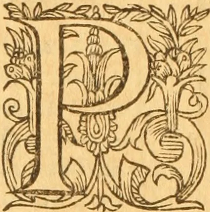An illustration from Testamentvm Novvm : sive nouum foedus Iesu Christi, D.N. Cuius Graeco contextui respondent interpretationes duae: vna, vetus altera, Theodori Bezae, nunc quartò diligenter ab eo recognita. Eiusdem annotationes, quas itidem hac quarta edit. accuratè recognouit, & accessione non parua locupletauit: Vt docebunt asterisci margini appositi, necnon eius ad lectorem epistolium. Haec quarta editio, propter accessiones non paucas, duos indices nouos habet: quorum prior priori parti, posterior posteriori subiunctus est. Seorsvm edetvr recensio earundem in diuersis Noui Testamenti locis vocum (vulgò concordantiae Novi Testamenti) cui etiam operam multum lectori profuturam idem Theodorus Beza & quidam alij impenderunt, 1588, leaf 861