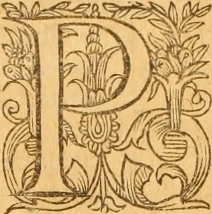 An illustration from Testamentvm Novvm : sive nouum foedus Iesu Christi, D.N. Cuius Graeco contextui respondent interpretationes duae: vna, vetus altera, Theodori Bezae, nunc quartò diligenter ab eo recognita. Eiusdem annotationes, quas itidem hac quarta edit. accuratè recognouit, & accessione non parua locupletauit: Vt docebunt asterisci margini appositi, necnon eius ad lectorem epistolium. Haec quarta editio, propter accessiones non paucas, duos indices nouos habet: quorum prior priori parti, posterior posteriori subiunctus est. Seorsvm edetvr recensio earundem in diuersis Noui Testamenti locis vocum (vulgò concordantiae Novi Testamenti) cui etiam operam multum lectori profuturam idem Theodorus Beza & quidam alij impenderunt, 1588, leaf 877