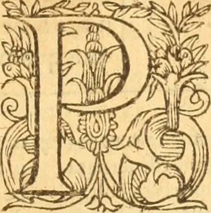 An illustration from Testamentvm Novvm : sive nouum foedus Iesu Christi, D.N. Cuius Graeco contextui respondent interpretationes duae: vna, vetus altera, Theodori Bezae, nunc quartò diligenter ab eo recognita. Eiusdem annotationes, quas itidem hac quarta edit. accuratè recognouit, & accessione non parua locupletauit: Vt docebunt asterisci margini appositi, necnon eius ad lectorem epistolium. Haec quarta editio, propter accessiones non paucas, duos indices nouos habet: quorum prior priori parti, posterior posteriori subiunctus est. Seorsvm edetvr recensio earundem in diuersis Noui Testamenti locis vocum (vulgò concordantiae Novi Testamenti) cui etiam operam multum lectori profuturam idem Theodorus Beza & quidam alij impenderunt, 1588, leaf 892