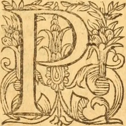 An illustration from Testamentvm Novvm : sive nouum foedus Iesu Christi, D.N. Cuius Graeco contextui respondent interpretationes duae: vna, vetus altera, Theodori Bezae, nunc quartò diligenter ab eo recognita. Eiusdem annotationes, quas itidem hac quarta edit. accuratè recognouit, & accessione non parua locupletauit: Vt docebunt asterisci margini appositi, necnon eius ad lectorem epistolium. Haec quarta editio, propter accessiones non paucas, duos indices nouos habet: quorum prior priori parti, posterior posteriori subiunctus est. Seorsvm edetvr recensio earundem in diuersis Noui Testamenti locis vocum (vulgò concordantiae Novi Testamenti) cui etiam operam multum lectori profuturam idem Theodorus Beza & quidam alij impenderunt, 1588, leaf 904