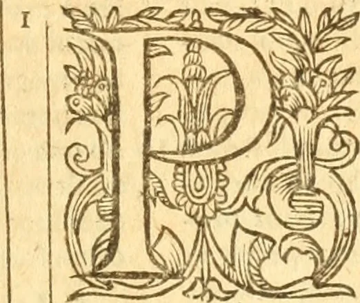 An illustration from Testamentvm Novvm : sive nouum foedus Iesu Christi, D.N. Cuius Graeco contextui respondent interpretationes duae: vna, vetus altera, Theodori Bezae, nunc quartò diligenter ab eo recognita. Eiusdem annotationes, quas itidem hac quarta edit. accuratè recognouit, & accessione non parua locupletauit: Vt docebunt asterisci margini appositi, necnon eius ad lectorem epistolium. Haec quarta editio, propter accessiones non paucas, duos indices nouos habet: quorum prior priori parti, posterior posteriori subiunctus est. Seorsvm edetvr recensio earundem in diuersis Noui Testamenti locis vocum (vulgò concordantiae Novi Testamenti) cui etiam operam multum lectori profuturam idem Theodorus Beza & quidam alij impenderunt, 1588, leaf 910