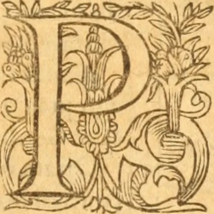 An illustration from Testamentvm Novvm : sive nouum foedus Iesu Christi, D.N. Cuius Graeco contextui respondent interpretationes duae: vna, vetus altera, Theodori Bezae, nunc quartò diligenter ab eo recognita. Eiusdem annotationes, quas itidem hac quarta edit. accuratè recognouit, & accessione non parua locupletauit: Vt docebunt asterisci margini appositi, necnon eius ad lectorem epistolium. Haec quarta editio, propter accessiones non paucas, duos indices nouos habet: quorum prior priori parti, posterior posteriori subiunctus est. Seorsvm edetvr recensio earundem in diuersis Noui Testamenti locis vocum (vulgò concordantiae Novi Testamenti) cui etiam operam multum lectori profuturam idem Theodorus Beza & quidam alij impenderunt, 1588, leaf 930