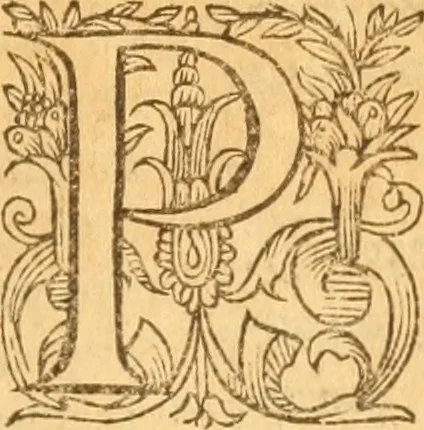 An illustration from Testamentvm Novvm : sive nouum foedus Iesu Christi, D.N. Cuius Graeco contextui respondent interpretationes duae: vna, vetus altera, Theodori Bezae, nunc quartò diligenter ab eo recognita. Eiusdem annotationes, quas itidem hac quarta edit. accuratè recognouit, & accessione non parua locupletauit: Vt docebunt asterisci margini appositi, necnon eius ad lectorem epistolium. Haec quarta editio, propter accessiones non paucas, duos indices nouos habet: quorum prior priori parti, posterior posteriori subiunctus est. Seorsvm edetvr recensio earundem in diuersis Noui Testamenti locis vocum (vulgò concordantiae Novi Testamenti) cui etiam operam multum lectori profuturam idem Theodorus Beza & quidam alij impenderunt, 1588, leaf 940