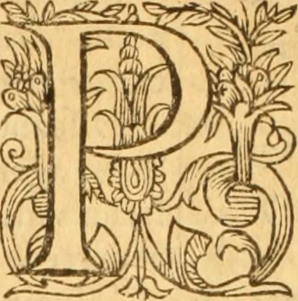 An illustration from Testamentvm Novvm : sive nouum foedus Iesu Christi, D.N. Cuius Graeco contextui respondent interpretationes duae: vna, vetus altera, Theodori Bezae, nunc quartò diligenter ab eo recognita. Eiusdem annotationes, quas itidem hac quarta edit. accuratè recognouit, & accessione non parua locupletauit: Vt docebunt asterisci margini appositi, necnon eius ad lectorem epistolium. Haec quarta editio, propter accessiones non paucas, duos indices nouos habet: quorum prior priori parti, posterior posteriori subiunctus est. Seorsvm edetvr recensio earundem in diuersis Noui Testamenti locis vocum (vulgò concordantiae Novi Testamenti) cui etiam operam multum lectori profuturam idem Theodorus Beza & quidam alij impenderunt, 1588, leaf 947
