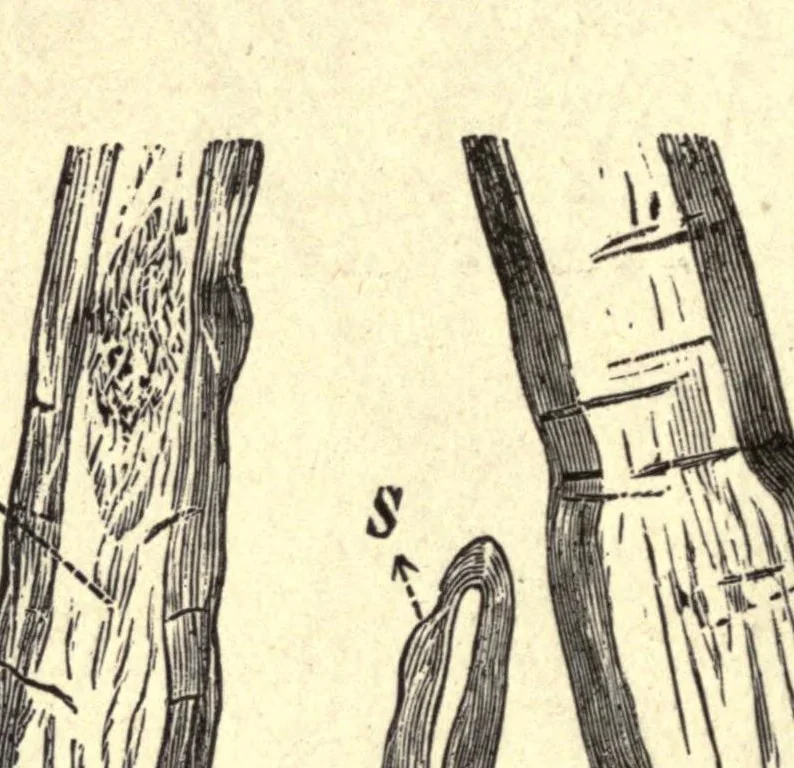 An illustration from The technical testing of yarns and textile fabrics : with reference to official specifications, 1898, leaf 42