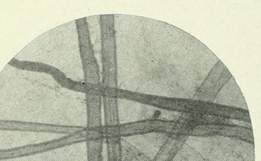 An illustration from Tests analyses and research : instruments and textile storage : useful tables and publications, 1923, leaf 44