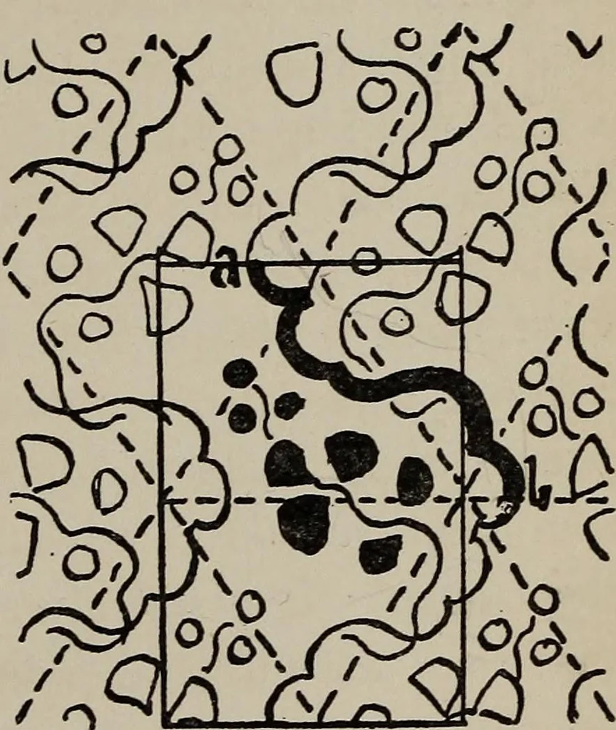 An illustration from A text book dealing with ornamental design for woven fabrics, 1897, leaf 106