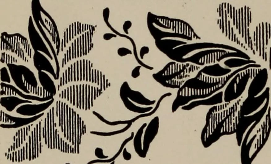 An illustration from A text book dealing with ornamental design for woven fabrics, 1897, leaf 151