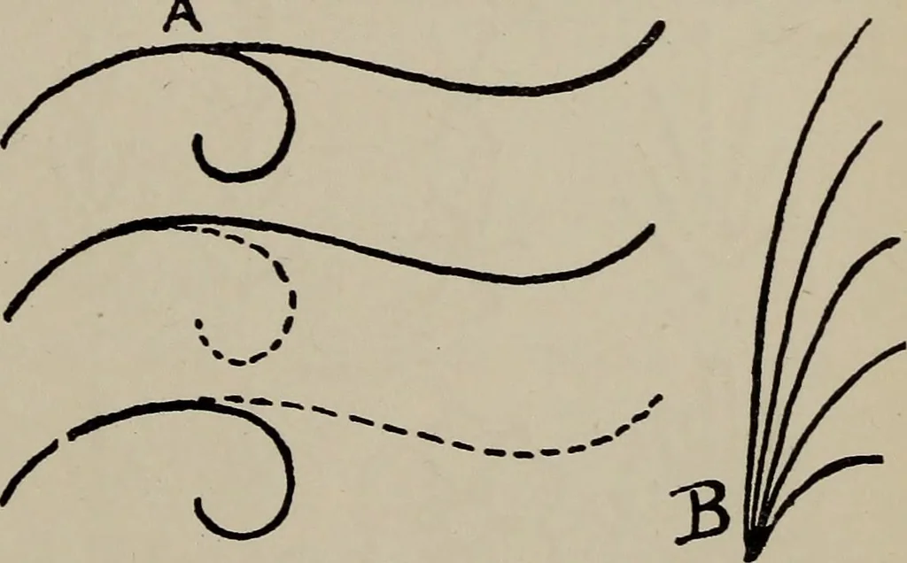 An illustration from A text book dealing with ornamental design for woven fabrics, 1897, leaf 168