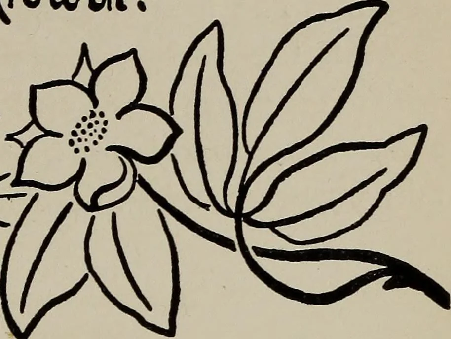 An illustration from A text book dealing with ornamental design for woven fabrics, 1897, leaf 170