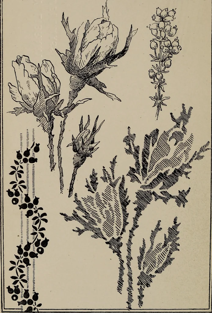 An illustration from A text book dealing with ornamental design for woven fabrics, 1897, leaf 181