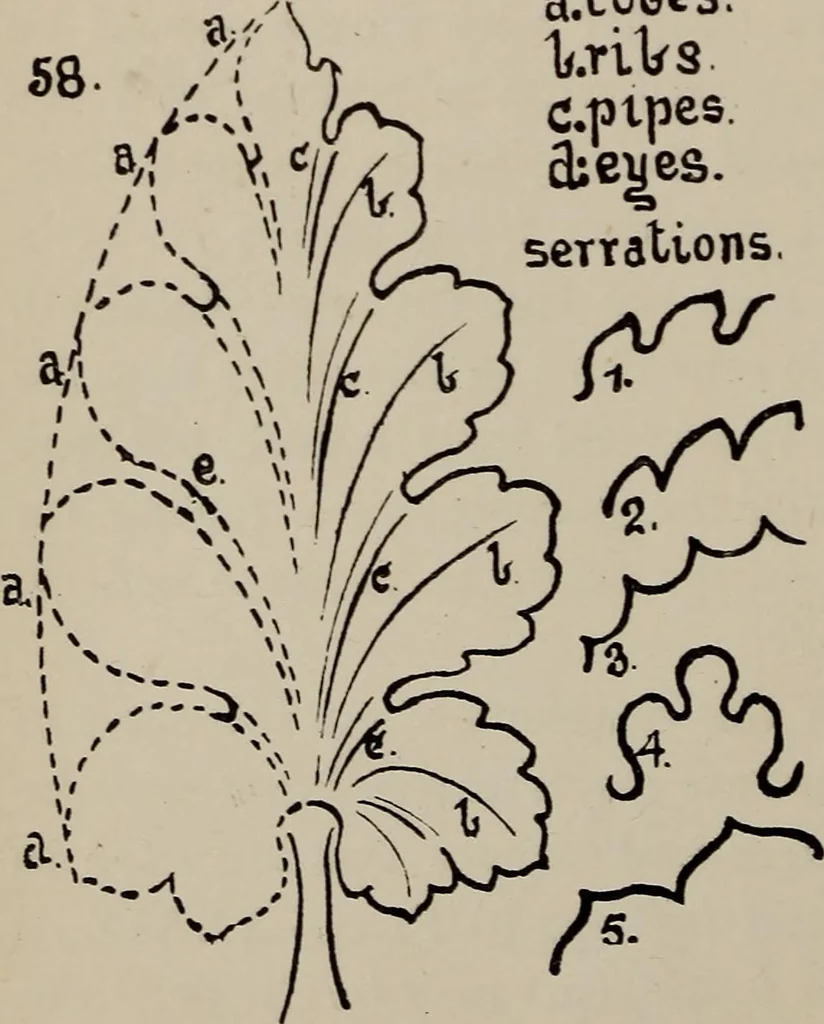 An illustration from A text book dealing with ornamental design for woven fabrics, 1897, leaf 189