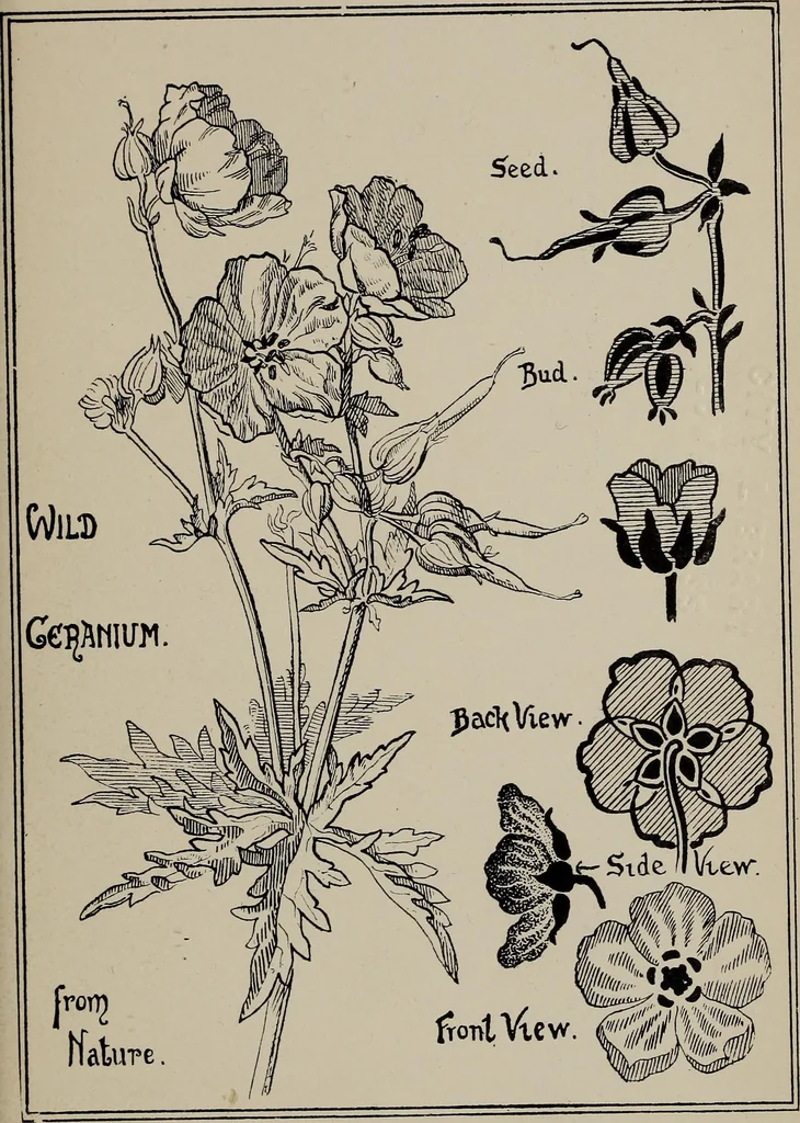 An illustration from A text book dealing with ornamental design for woven fabrics, 1897, leaf 214