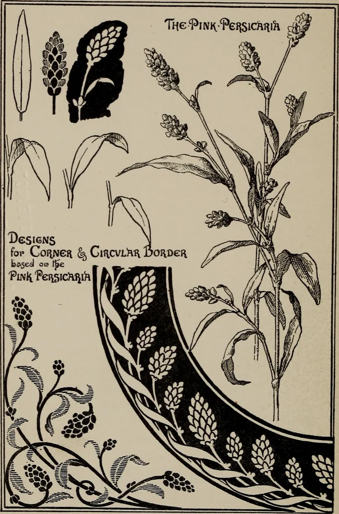 An illustration from A text book dealing with ornamental design for woven fabrics, 1897, leaf 219