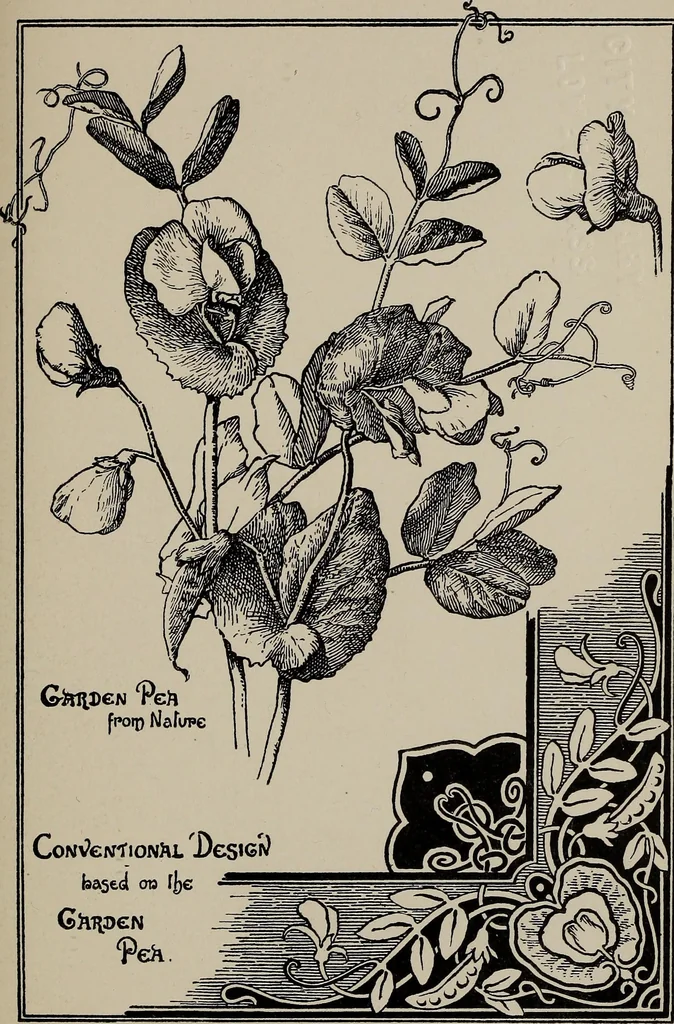 An illustration from A text book dealing with ornamental design for woven fabrics, 1897, leaf 222