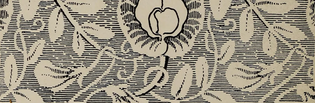 An illustration from A text book dealing with ornamental design for woven fabrics, 1897, leaf 225