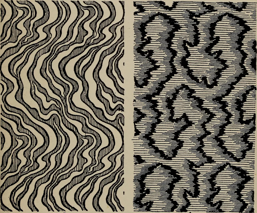 An illustration from A text book dealing with ornamental design for woven fabrics, 1897, leaf 258
