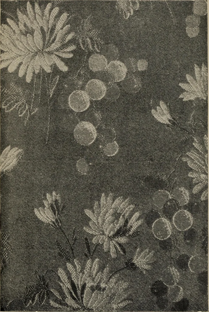 An illustration from A text book dealing with ornamental design for woven fabrics, 1897, leaf 284