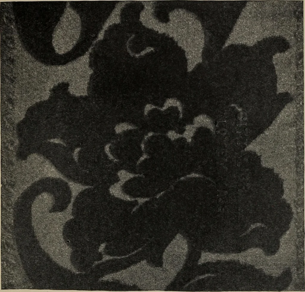 An illustration from A text book dealing with ornamental design for woven fabrics, 1897, leaf 288