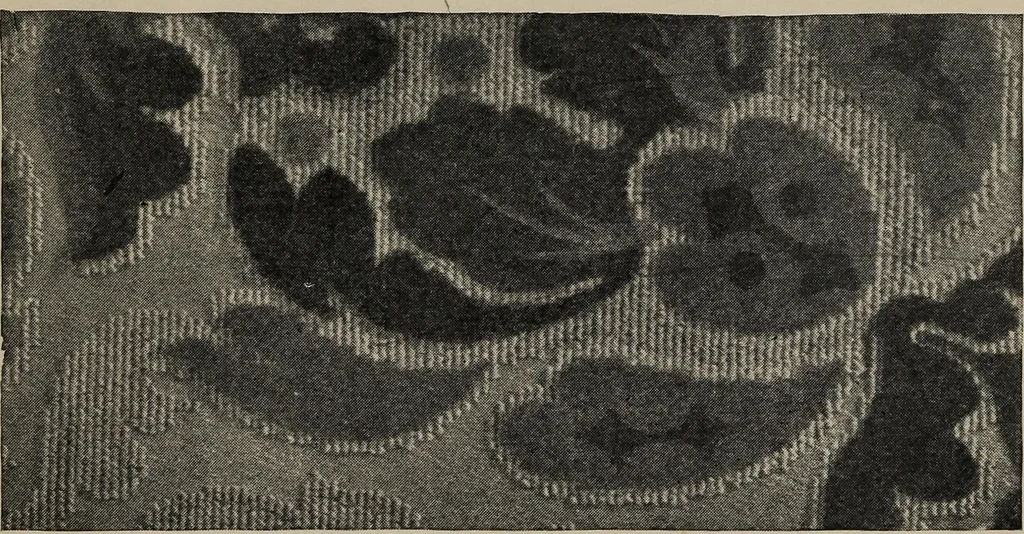 An illustration from A text book dealing with ornamental design for woven fabrics, 1897, leaf 288