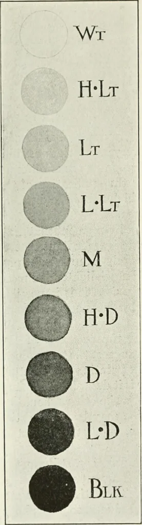 An illustration from A text-book of design, 1912, leaf 115