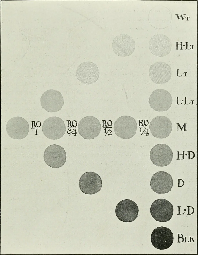 An illustration from A text-book of design, 1912, leaf 126