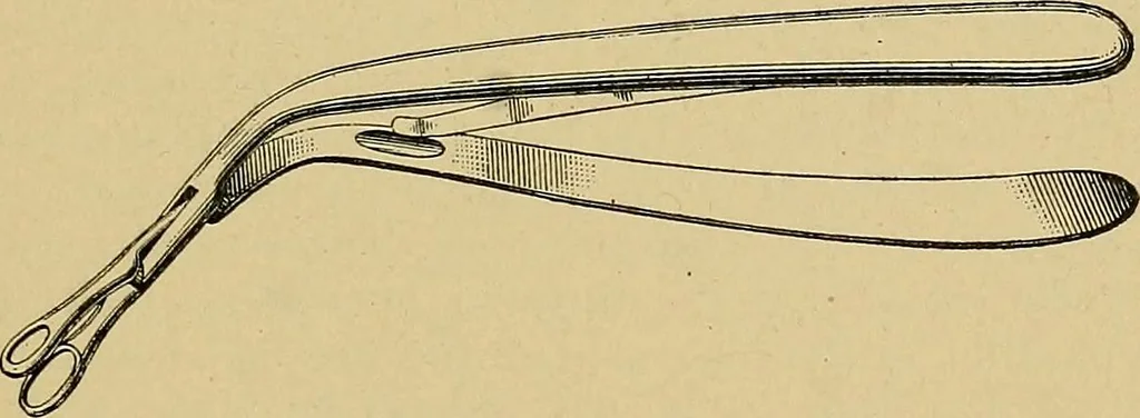 An illustration from A text-book of diseases of the nose and throat, 1904, leaf 110
