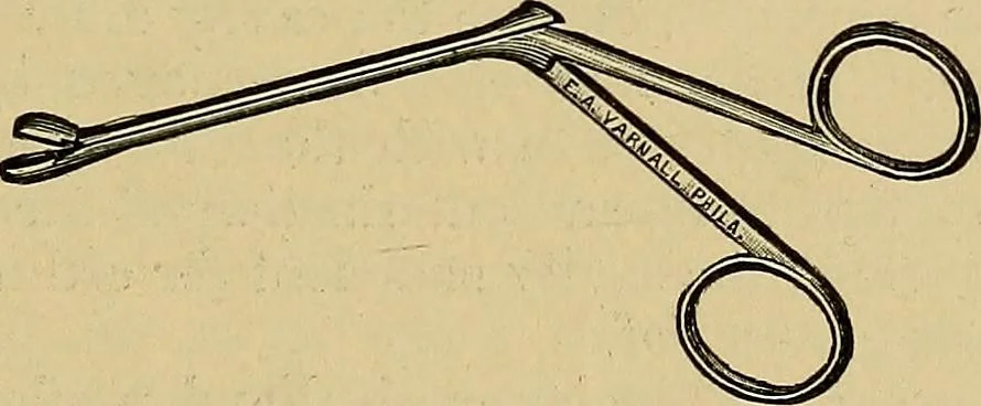 An illustration from A text-book of diseases of the nose and throat, 1904, leaf 120