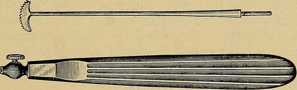 An illustration from A text-book of diseases of the nose and throat, 1904, leaf 120