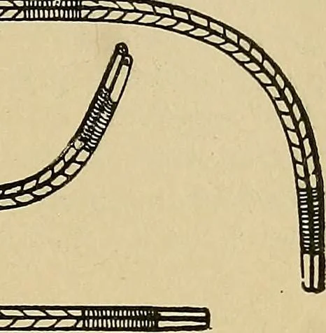 An illustration from A text-book of diseases of the nose and throat, 1904, leaf 222