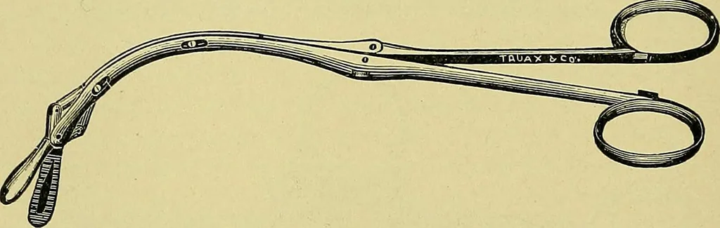 An illustration from A text-book of diseases of the nose and throat, 1904, leaf 223