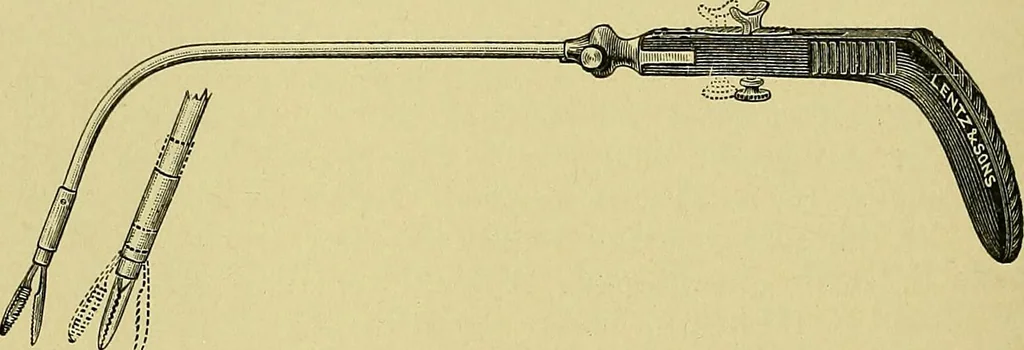 An illustration from A text-book of diseases of the nose and throat, 1904, leaf 239