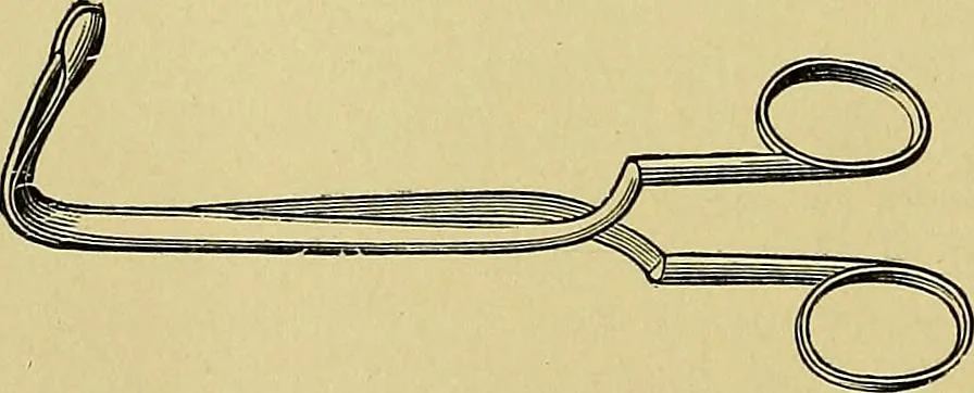An illustration from A text-book of diseases of the nose and throat, 1904, leaf 239