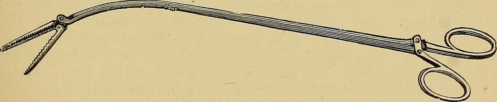 An illustration from A text-book of diseases of the nose and throat, 1904, leaf 240