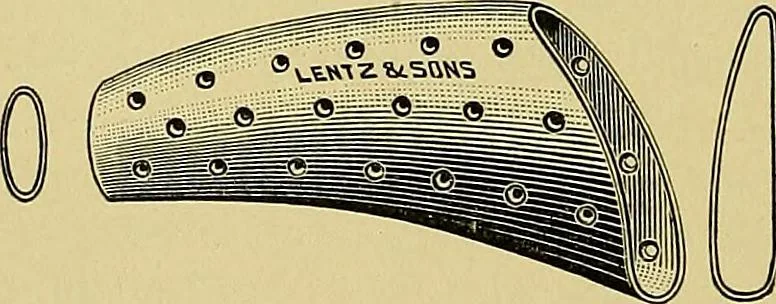 An illustration from A text-book of diseases of the nose and throat, 1904, leaf 281