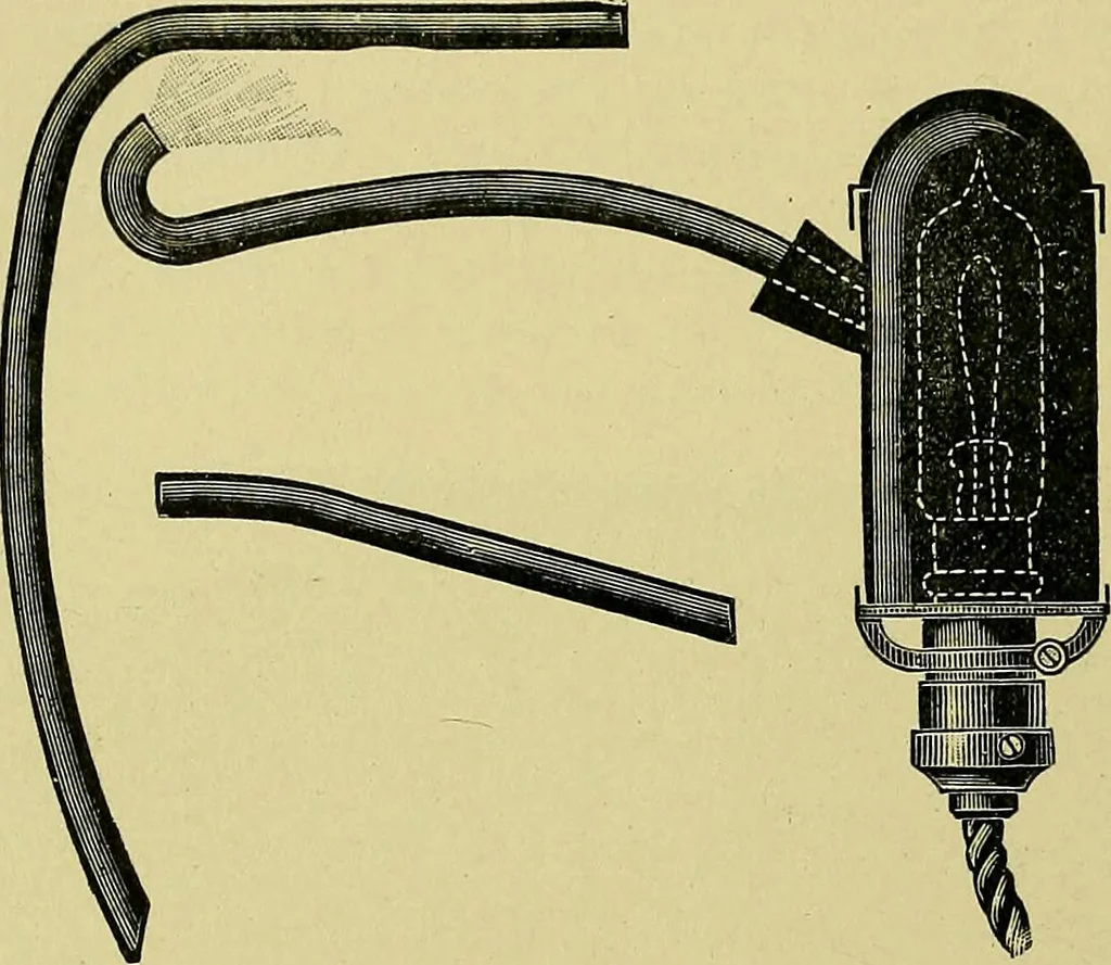 An illustration from A text-book of diseases of the nose and throat, 1904, leaf 317