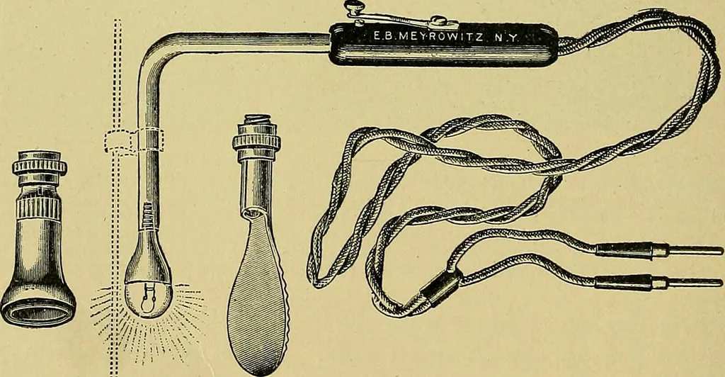 An illustration from A text-book of diseases of the nose and throat, 1904, leaf 317