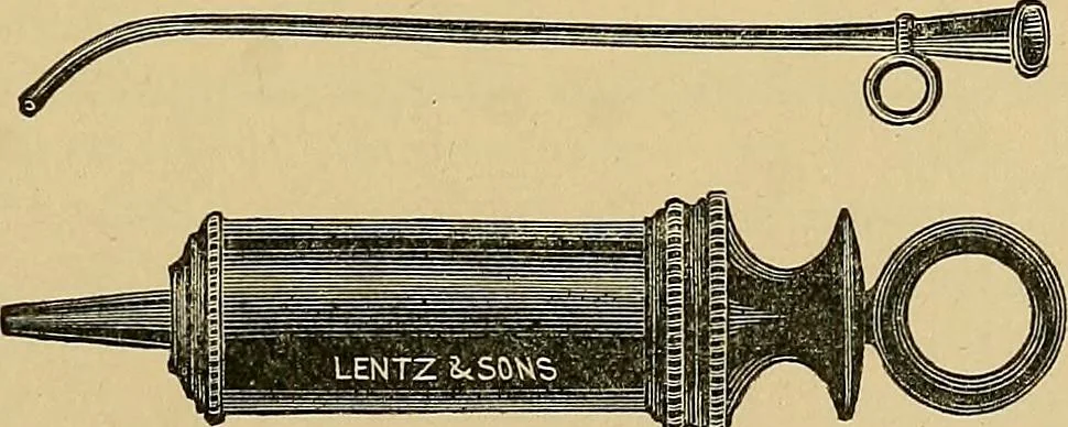 An illustration from A text-book of diseases of the nose and throat, 1904, leaf 356