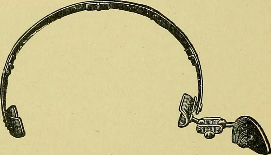 An illustration from A text-book of diseases of the nose and throat, 1904, leaf 41