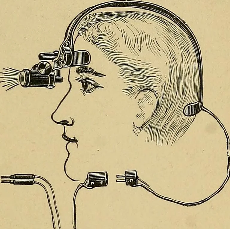 An illustration from A text-book of diseases of the nose and throat, 1904, leaf 42