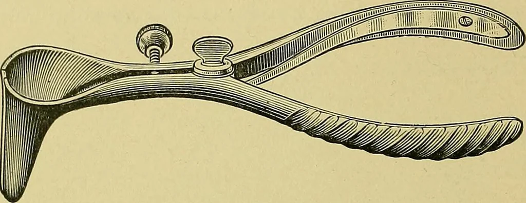 An illustration from A text-book of diseases of the nose and throat, 1904, leaf 45
