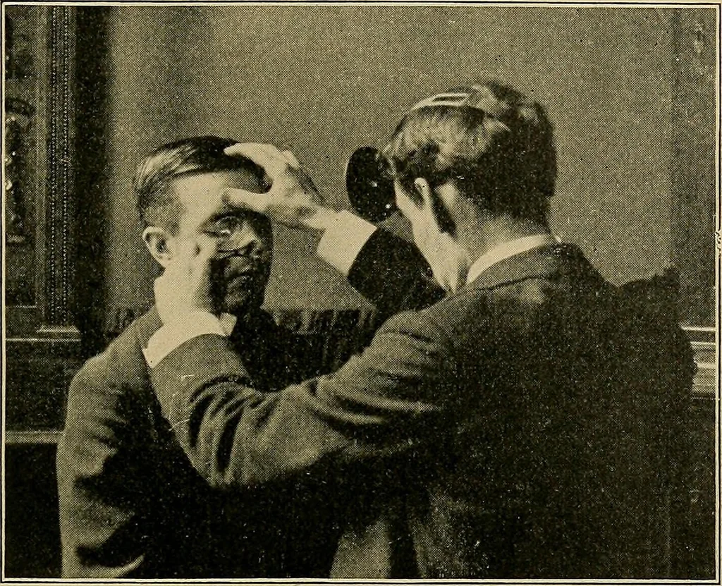 An illustration from A text-book of diseases of the nose and throat, 1904, leaf 46
