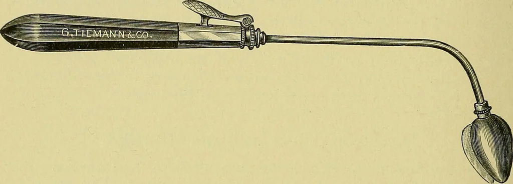 An illustration from A text-book of diseases of the nose and throat, 1904, leaf 527