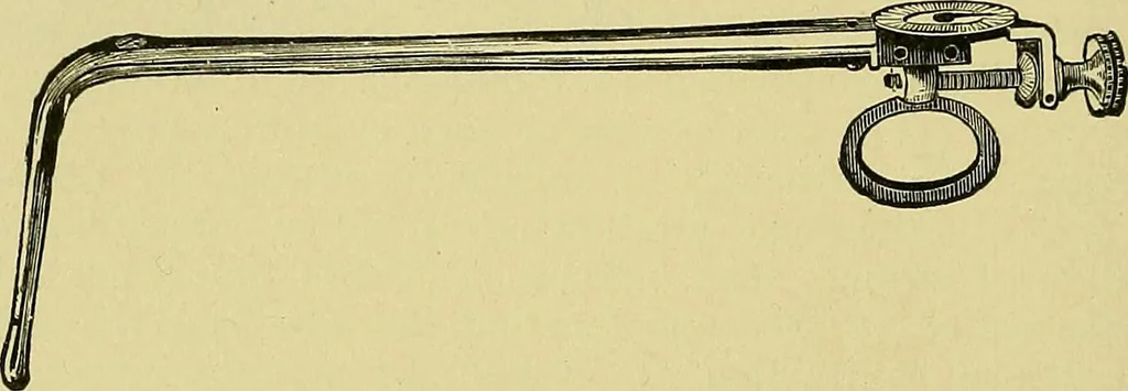 An illustration from A text-book of diseases of the nose and throat, 1904, leaf 529