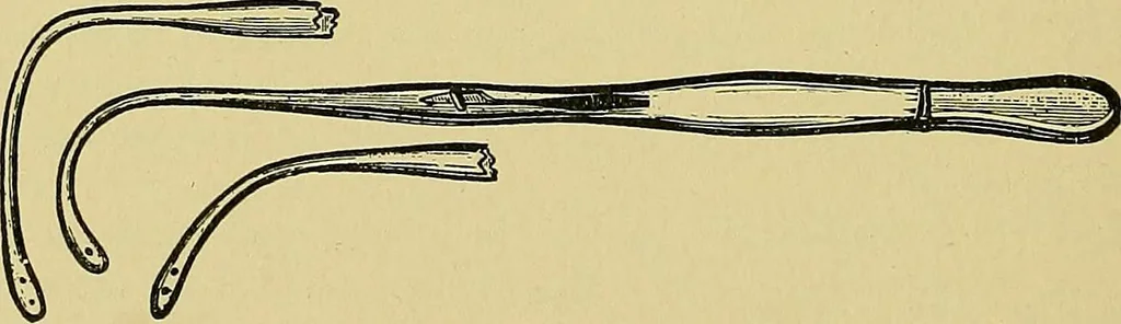 An illustration from A text-book of diseases of the nose and throat, 1904, leaf 577