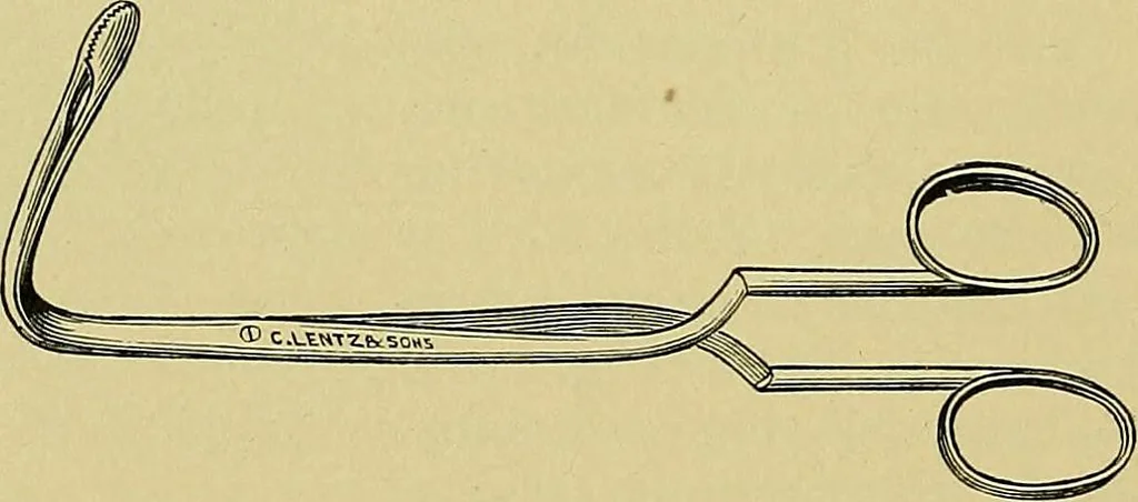 An illustration from A text-book of diseases of the nose and throat, 1904, leaf 587